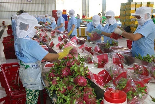 Các doanh nghiệp nông sản cần lên sẵn kịch bản tăng xuất khẩu sang Trung Quốc 