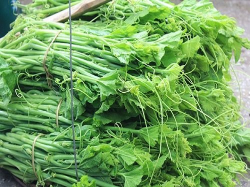 Bà nội trợ phải biết cách nhận biết một số loại rau nhiễm hóa chất kẻo gây hại cho sức khỏe của người thân