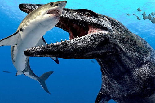 Khám phá về 'thủy quái' 150 triệu năm tuổi ăn thịt được khủng long T-Rex