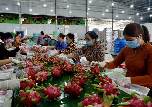 Xuất khẩu nông sản sang EU phải có chứng thư về vệ sinh và kiểm dịch