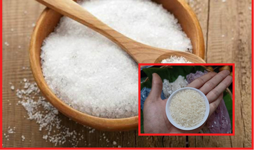 Bỏ 1 nắm gạo vào hũ muối rồi đặt góc nhà, mẹ chồng tưởng con dâu khờ dại cho đến khi biết lý do