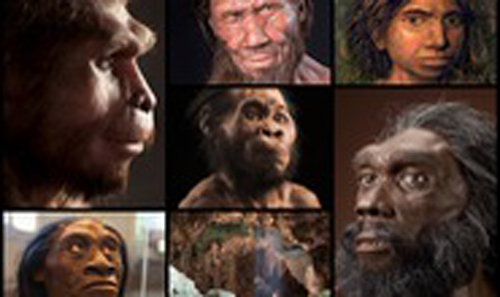 Chân dung 7 loài người khác từng sống song song với chúng ta