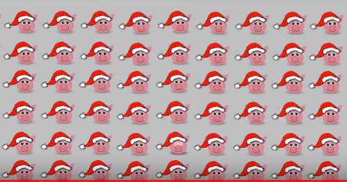 Chỉ 2% số người tìm ra đáp án đúng trong 5 giây