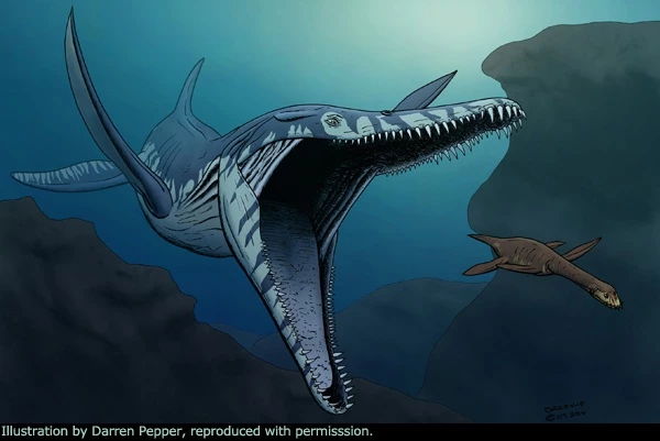 Pliosaur còn có cái tên Predator X, được công khai sự tồn tại từ 2009. Ảnh: Darren Pepper.