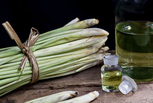 Mẹo khử sạch mùi nhà vệ sinh bằng nguyên liệu có sẵn trong bếp