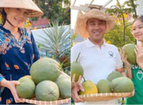 Đã mắt với khu vườn sai trĩu quả, ngập hoa của gia đình MC Quyền Linh