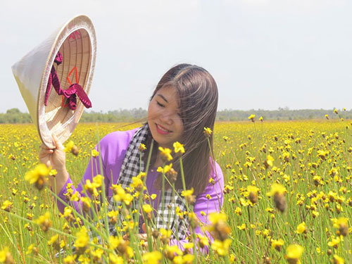 Vẻ đẹp hoang sơ của hoa hoàng đầu ấn ở Tràm Chim