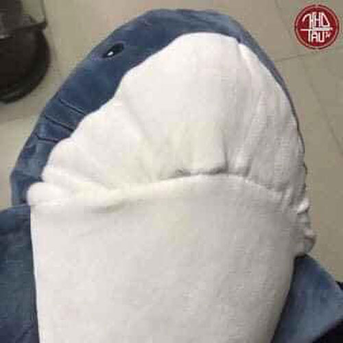 Thấy cá mập bông có hàm răng dữ tợn, bà nội đã làm một việc để bảo vệ cháu nhưng kết quả lại khiến mọi người 'sững sờ'