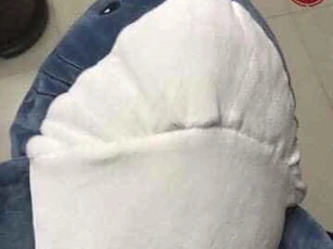 Thấy cá mập bông có hàm răng dữ tợn, bà nội đã làm một việc để bảo vệ cháu nhưng kết quả lại khiến mọi người 'sững sờ'