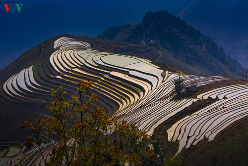 Khám phá vẻ đẹp "thơ mộng" bản định cư Cu Vai – Yên Bái