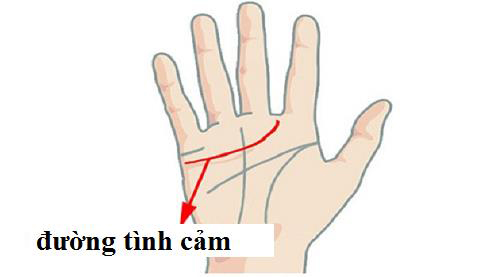 3 đường chỉ tay "kim quang chiếu rọi", phụ nữ nếu sở hữu thì có thể sẽ được gả vào gia đình giàu có