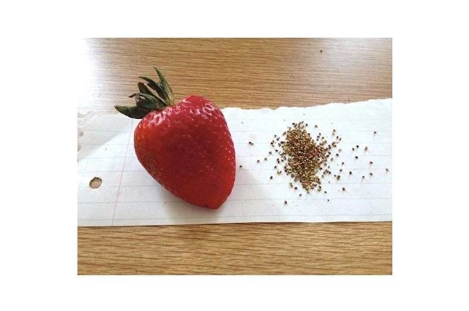 Cô gái rảnh nhất MXH, mang mì tôm ra đan "chiếc khăn gió ấm" tặng bạn trai - 13