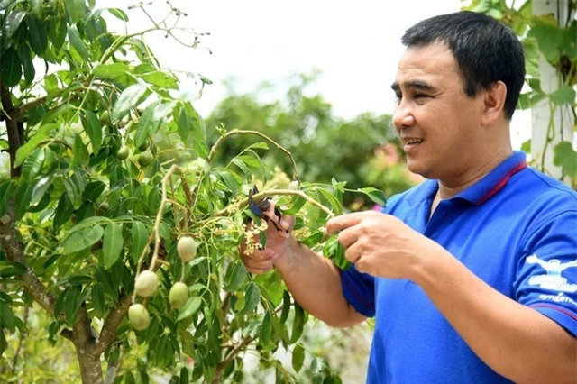 Đã mắt với khu vườn sai trĩu quả, ngập hoa của gia đình MC Quyền Linh - 4