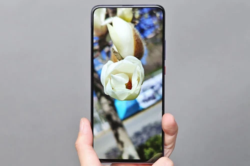 Redmi K30 Pro được trang bị tấm nền màn hình Super AMOLED kích thước 6,67 inch, độ phân giải Full HD Plus (2.400x1.080 pixel), mật độ điểm ảnh 395 ppi. Màn hình này được chia theo tỷ lệ 20:9, tích hợp dải màu DCI-P3, công nghệ HDR10 +, độ sáng tối đa 500 nit. 