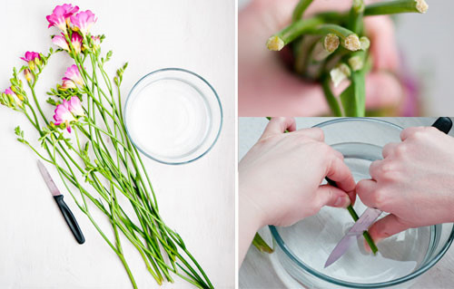 Đổ đường vào nước cắm hoa ai cũng tưởng lãng phí, kết quả lại vô cùng "thần diệu"