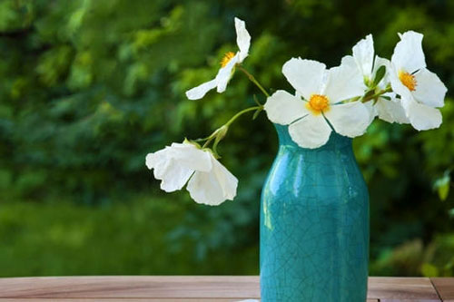 6 bài học về hạnh phúc đích thực của thiền sư Thích Nhất Hạnh