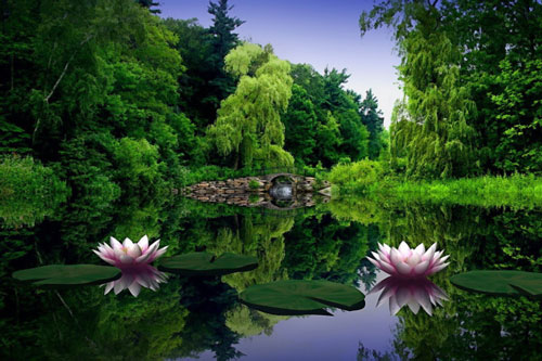 Chỉ cần buông bỏ điều này, nhiều khả năng bạn sẽ có phúc khí, sống an yên cả đời