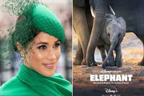 Meghan Markle công bố công việc đầu tiên sau khi rời khỏi hoàng gia và hé lộ chi tiết mới nhất về con trai Archie đang lớn từng ngày