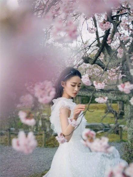 Sao nữ xứ Trung bên hoa đào: Dương Mịch khí chất, Angelababy như công chúa - Ảnh 4.