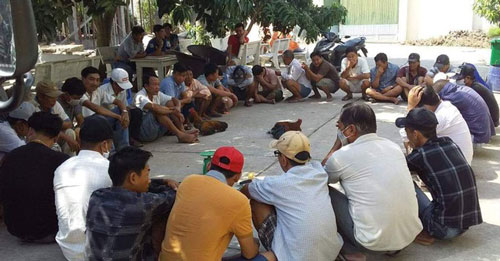 An Giang: Bắt giữ 32 đối tượng đá gà ăn tiền