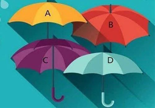 Bạn chọn chiếc ô nào?