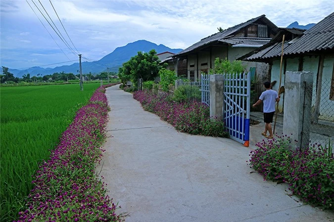 Đẹp nao lòng những con đường rực rỡ sắc hoa ở Yên Bái