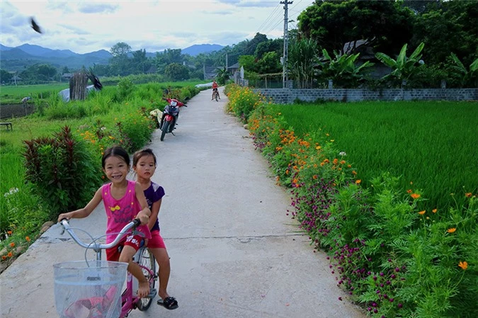 Đẹp nao lòng những con đường rực rỡ sắc hoa ở Yên Bái