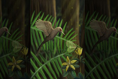 Bạn có biết: Loài khủng long nhỏ nhất thế giới có kích thước chỉ 5 cm