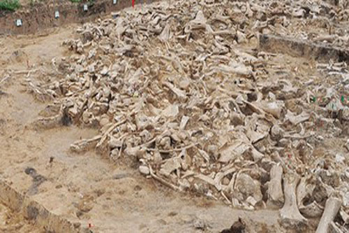 Vòng tròn xương Ma mút bí ẩn tiết lộ quá khứ về kỷ băng hà