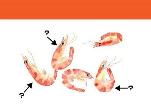 Trắc nghiệm: Cách ăn tôm tiết lộ bạn dễ 'rung động' trước mẫu người nào