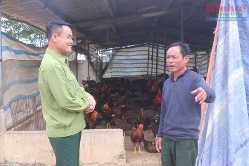 Nghệ An: Mỗi năm thu tiền tỷ từ trang trại chăn nuôi - vườn rừng