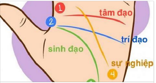 Có thể biết được vận mệnh, công danh và tình duyên cực dễ qua đường chỉ tay