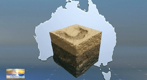 Phát hiện hóa thạch cách đây 555 triệu năm của tổ tiên loài người