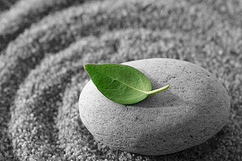 Đừng hao tâm tổn trí chỉ để 'có ngôi mộ đẹp', còn sống là phải biết tận hưởng