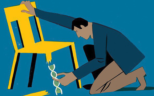 Đời người là cuộc ganh đua: Đi học so điểm số, đi làm so năng lực, lúc gần đất xa trời so điều này