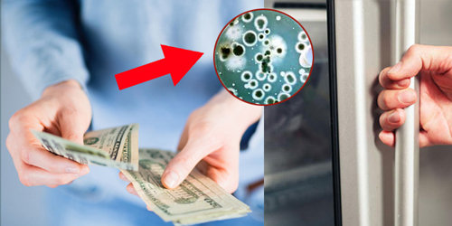 7 món đồ tuyệt đối không nên chạm khi vào bệnh viện, đặc biệt lưu ý đến cái số 1