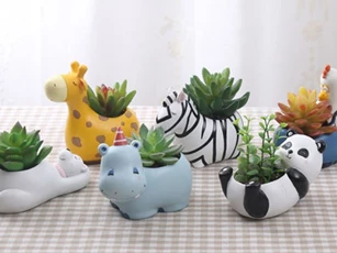CLIP: Hướng dẫn làm chậu sen đá đẹp lung linh từ những chai nhựa bỏ đi
