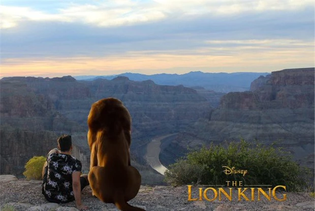 Bối cảnh phù hợp để đóng Lion King.