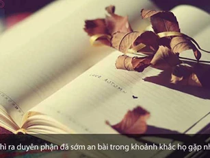 Duyên do trời định đoạt, hạnh phúc do chính bản thân chọn lựa