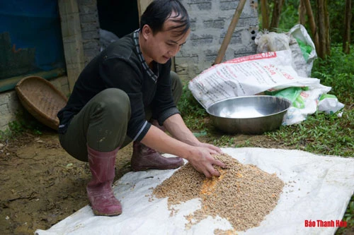 Nói là làm, Nam vay mượn được hơn 40 triệu đồng tiền vốn từ người thân rồi ra bờ suối cạnh nhà dựng lều trại, quây lưới để thả những lứa vịt đầu tiên.