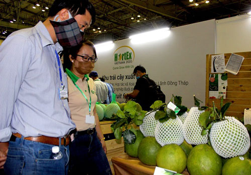 Mô hình nào giải cứu doanh nghiệp Việt?