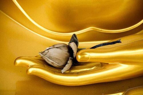 Những điều ai cũng cần biết để không hối tiếc trước khi rời xa cõi đời