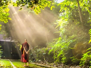 Phật dạy 8 chữ "vàng" nên "gối đầu giường" để tu dưỡng bản thân mỗi ngày