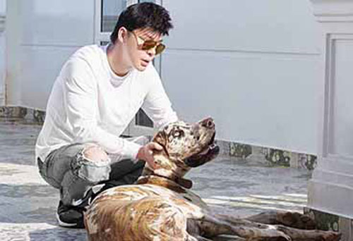 Thiệt hại kinh tế hơn 100 tỷ, Nathan Lee ở nhà chơi với cún cưng