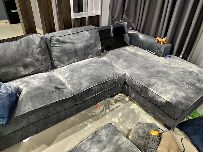 Chiếc sofa cũ được mua lại với giá chỉ 20 đô la Mỹ.