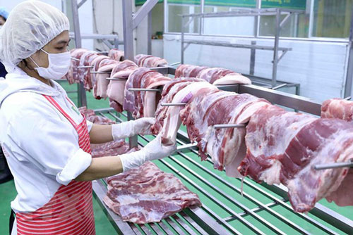 Hạ giá thịt lợn hỗ trợ phòng chống dịch