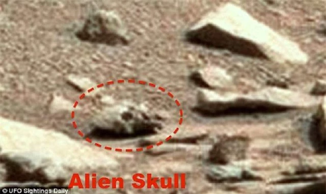 Chỉ trong tháng trước, Waring cũng đã chia sẻ một bức ảnh về một hộp sọ khác trên sao Hỏa mà ông phát hiện được, và ông chắc chắn rằng nó là của một người ngoài hành tinh.