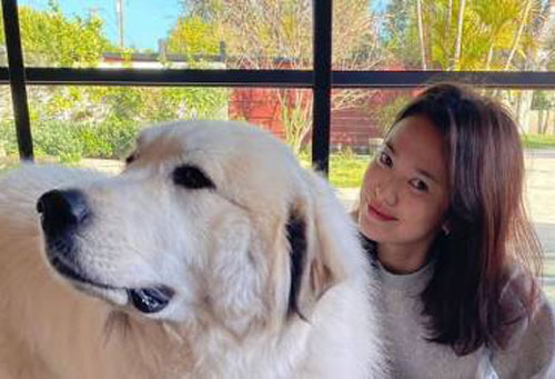 Trong khi Song Joong Ki tức tốc 'chạy dịch', Song Hye Kyo lại có thái độ bình thản đến lạ