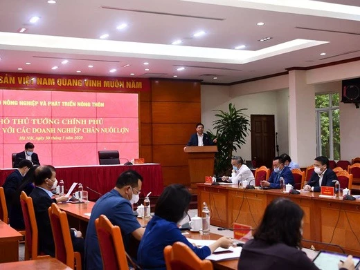 Phó thủ tướng Trịnh Đình Dũng và Bộ trưởng Nguyễn Xuân Cường có buổi làm việc với 15 doanh nghiệp chăn nuôi lớn