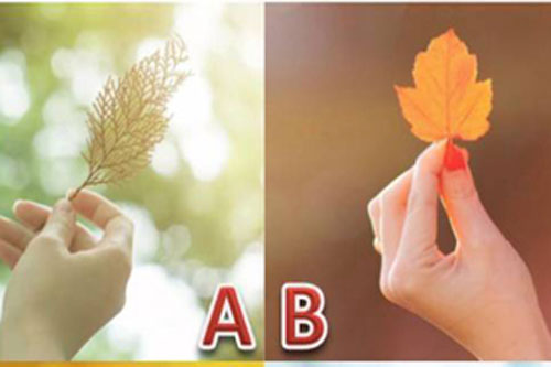 Trắc nghiệm: Mùa Hè này, bạn sẽ đạt được những vận may nào?